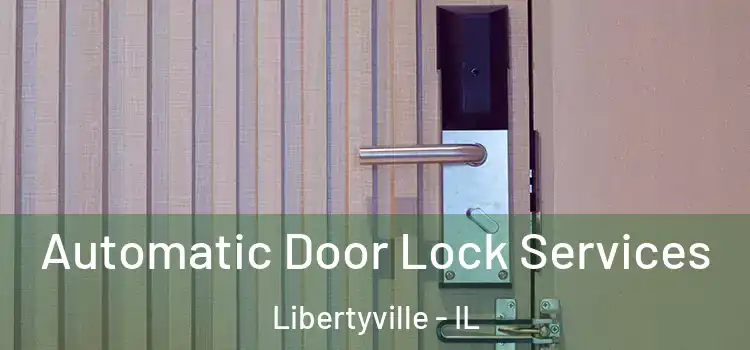 Automatic Door Lock Services Libertyville - IL