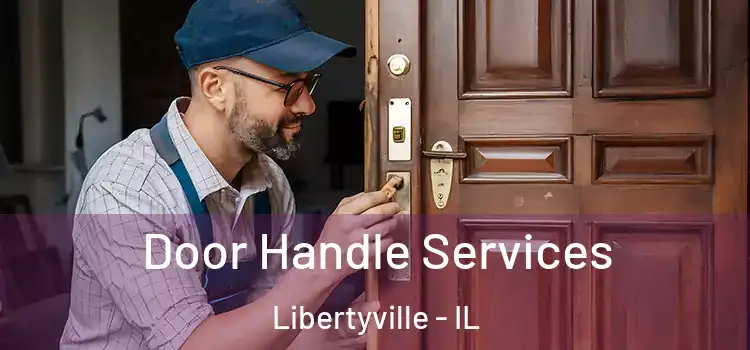 Door Handle Services Libertyville - IL