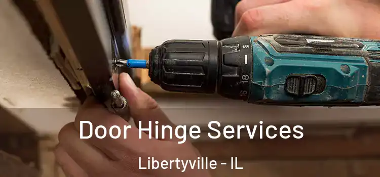Door Hinge Services Libertyville - IL