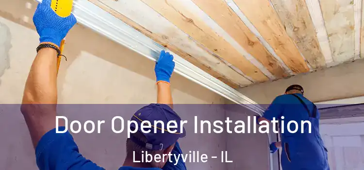 Door Opener Installation Libertyville - IL