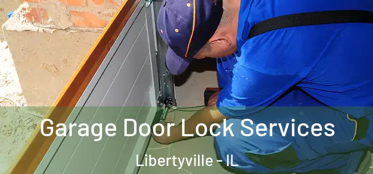 Garage Door Lock Services Libertyville - IL