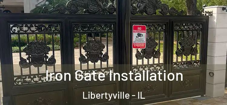 Iron Gate Installation Libertyville - IL