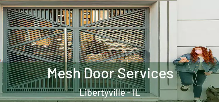 Mesh Door Services Libertyville - IL