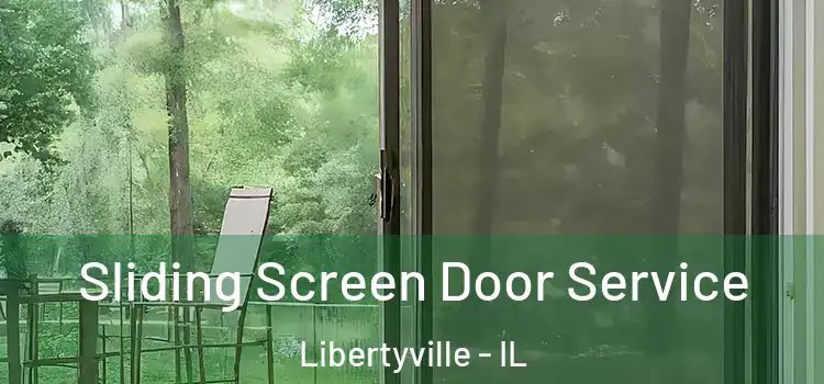 Sliding Screen Door Service Libertyville - IL