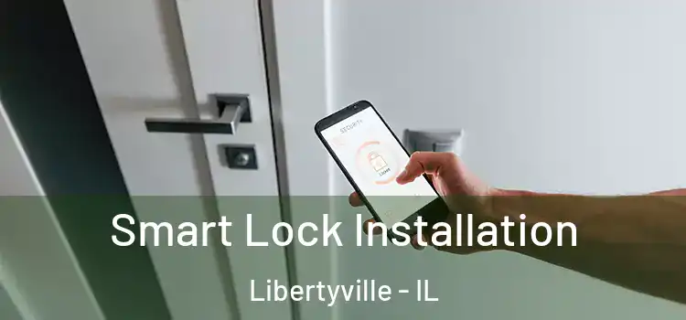 Smart Lock Installation Libertyville - IL
